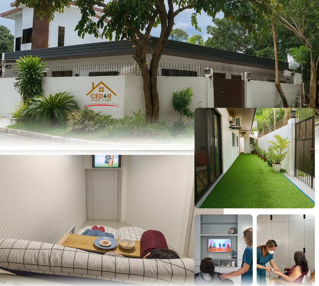 New Website Picture no contact